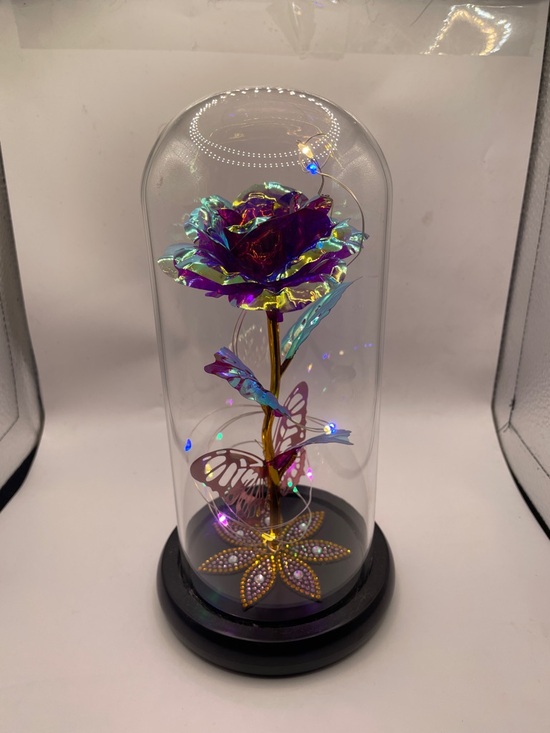 Amazon Other - Amazon LED Iridescent Purple Blue Green Rose Dome